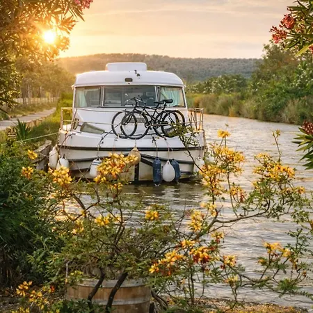 Bateau 6 Personnes Sans Permis Terrasse A Quai Ou Supplement Navigation * בזייה